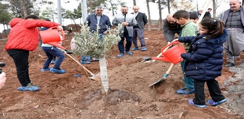 ÖĞRETMEN, ÖĞRENCİ VE VELİLER SİVEREK KALESİNDE AĞAÇ DİKTİ