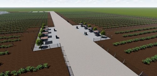 SİVEREK'TE ŞİRE BAĞLARI VE MEYVE BAHÇELERİ PROJESİNE BAŞLANDI